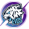 logo tima