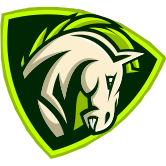 logo tima